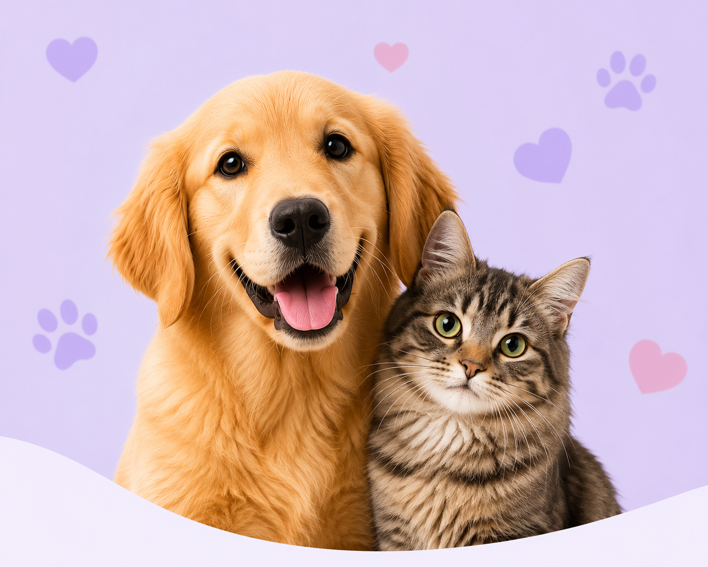 Un perro golden retriever y un gato atigrado felices